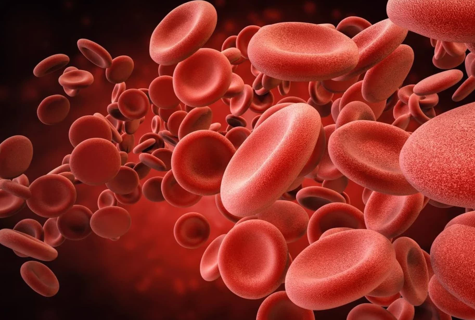 red blood cells